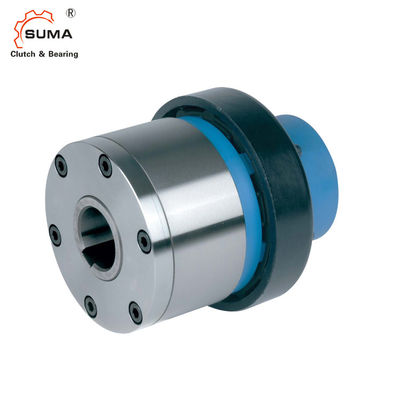 ESG2 Wybieg GCr15 Indeksujące sprzęgło jednokierunkowe